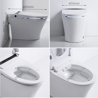 Intelligent Electric Smart Toilet Automatic Flush Tankless Instant Heating ISO